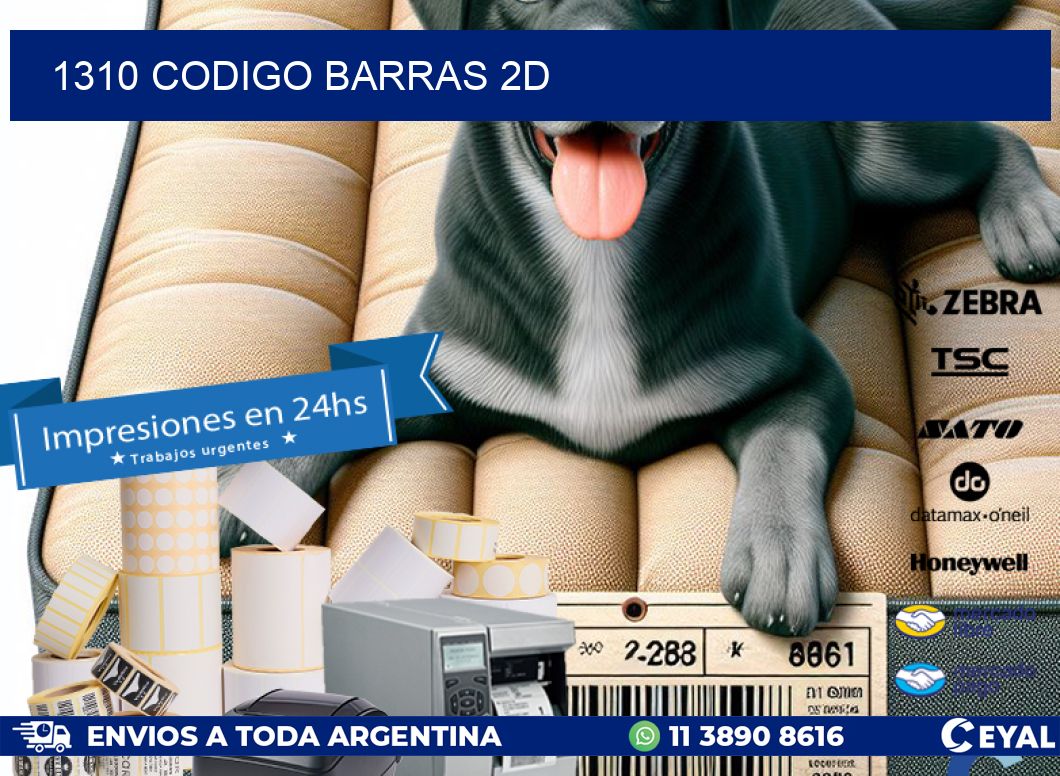 1310 CODIGO BARRAS 2D