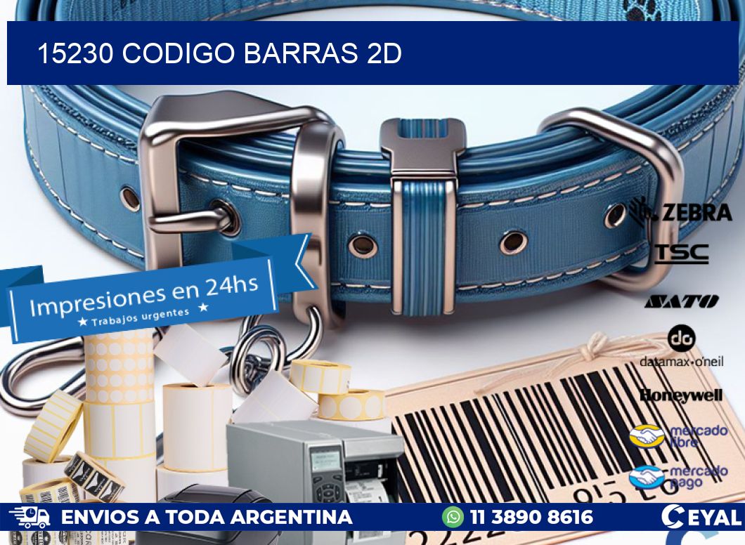 15230 CODIGO BARRAS 2D