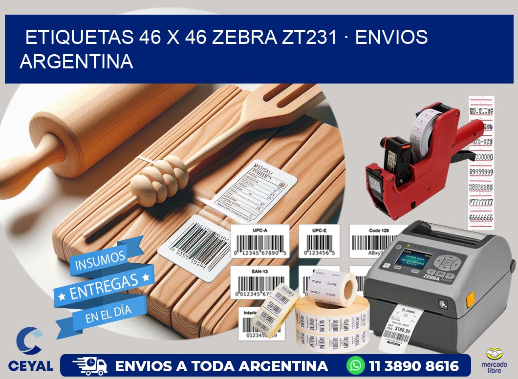 ETIQUETAS 46 x 46 ZEBRA ZT231 · ENVIOS ARGENTINA
