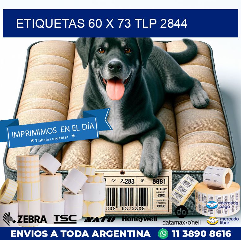 ETIQUETAS 60 x 73 TLP 2844