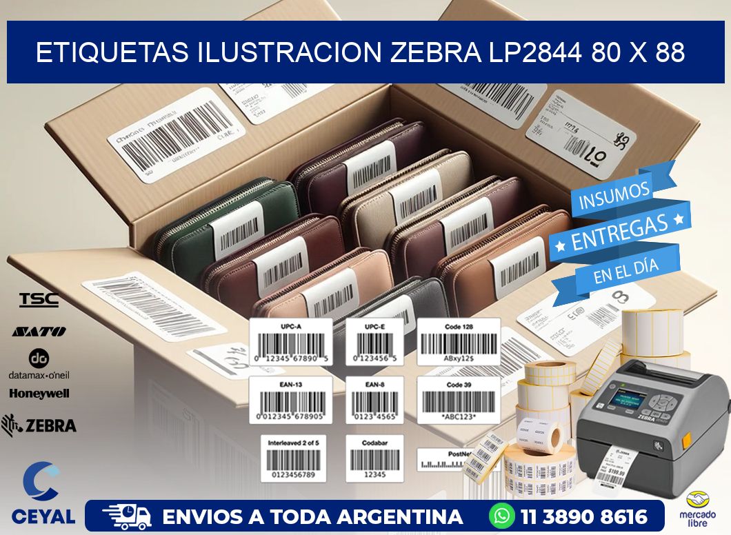 ETIQUETAS ILUSTRACION ZEBRA LP2844 80 x 88