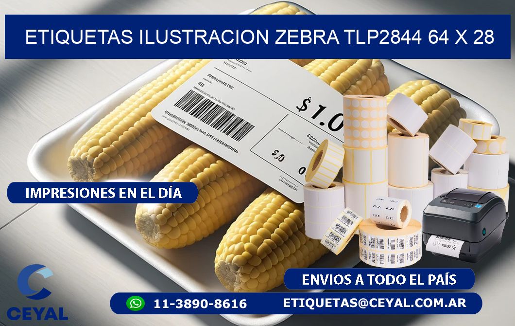 ETIQUETAS ILUSTRACION ZEBRA TLP2844 64 x 28