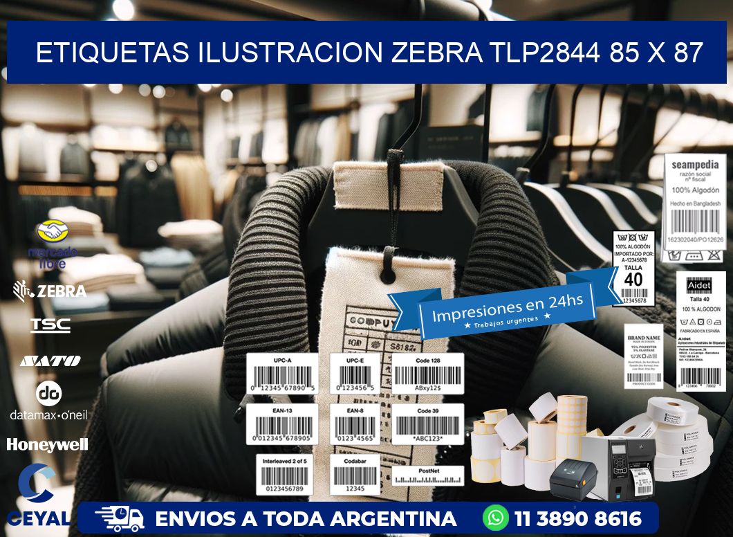 ETIQUETAS ILUSTRACION ZEBRA TLP2844 85 x 87