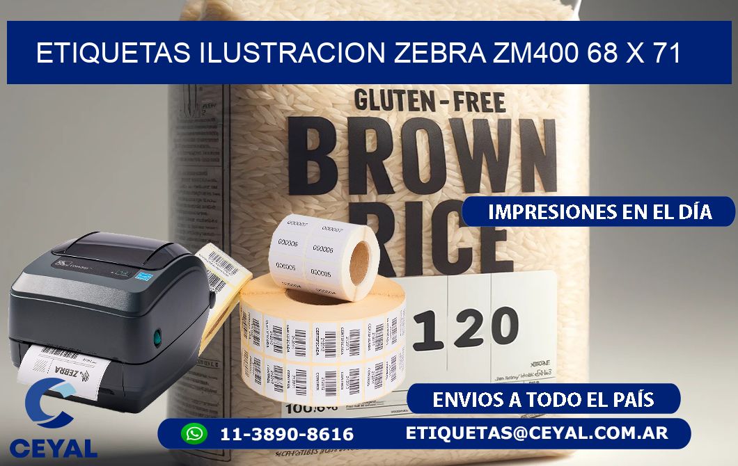 ETIQUETAS ILUSTRACION ZEBRA ZM400 68 x 71