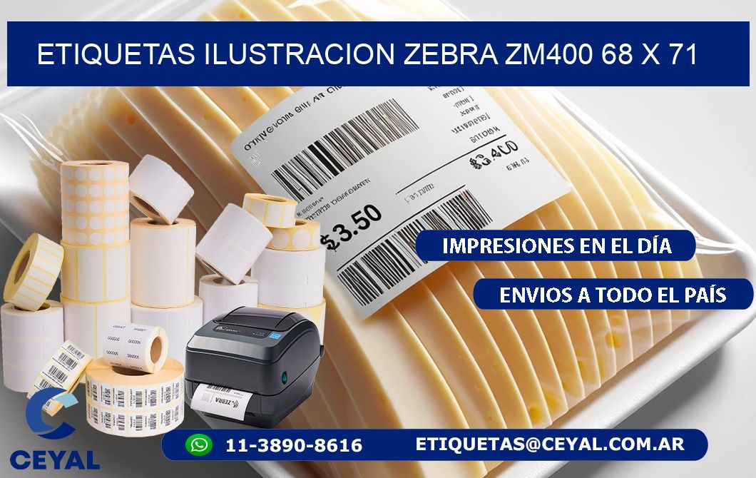 ETIQUETAS ILUSTRACION ZEBRA ZM400 68 x 71