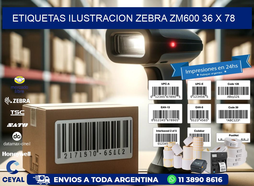ETIQUETAS ILUSTRACION ZEBRA ZM600 36 x 78