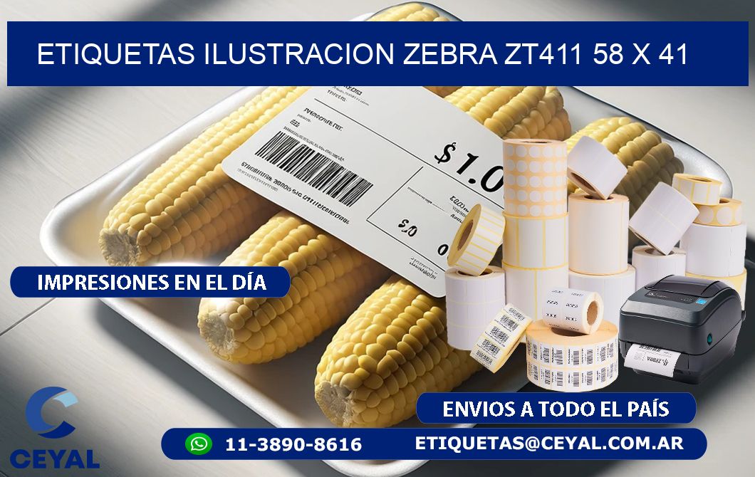 ETIQUETAS ILUSTRACION ZEBRA ZT411 58 x 41