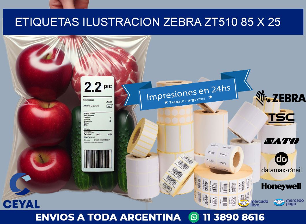 ETIQUETAS ILUSTRACION ZEBRA ZT510 85 x 25