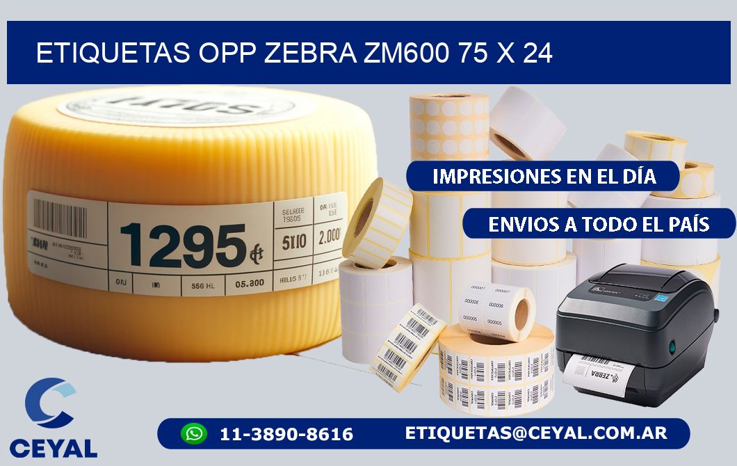 ETIQUETAS OPP ZEBRA ZM600 75 x 24