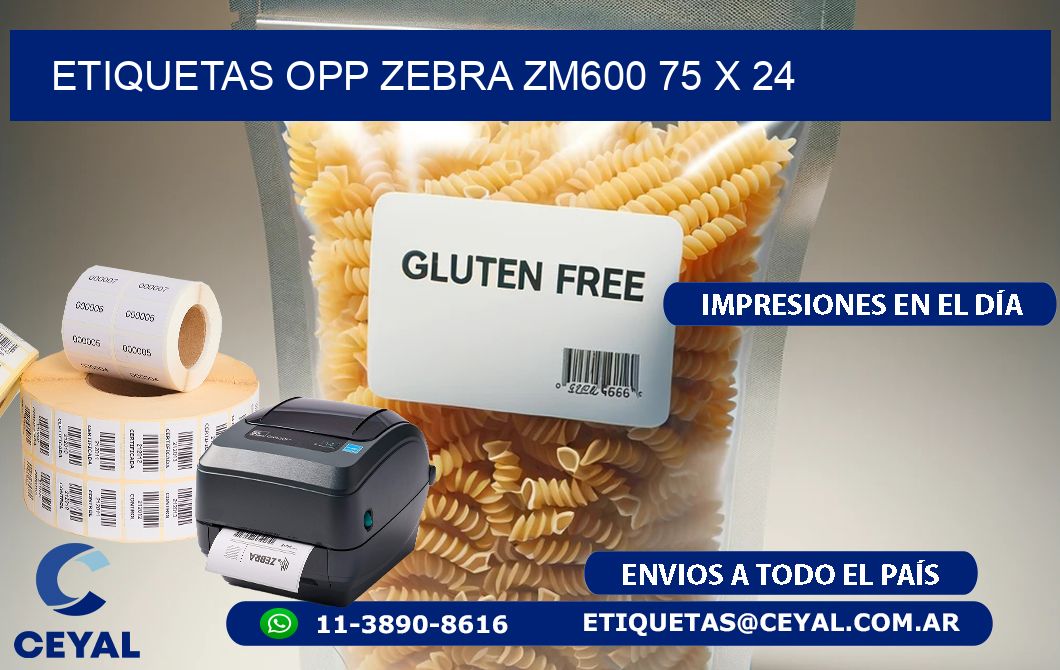 ETIQUETAS OPP ZEBRA ZM600 75 x 24