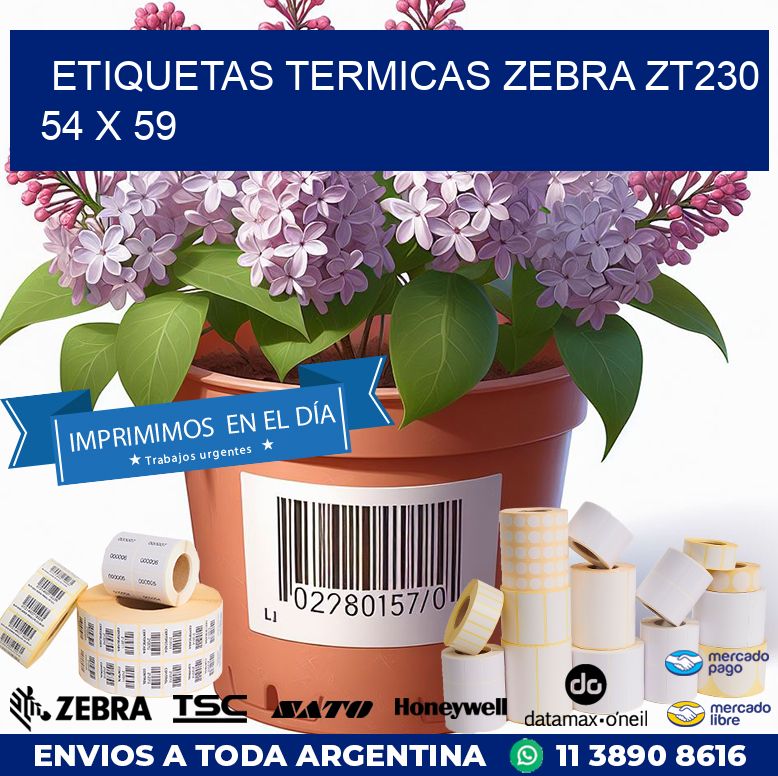 ETIQUETAS TERMICAS ZEBRA ZT230 54 x 59