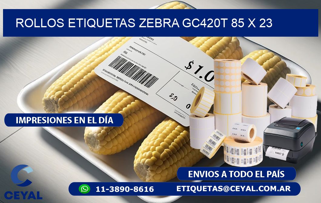 ROLLOS ETIQUETAS Zebra GC420T 85 x 23