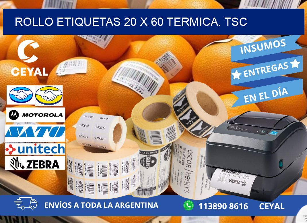 Rollo etiquetas 20 x 60 termica. tsc