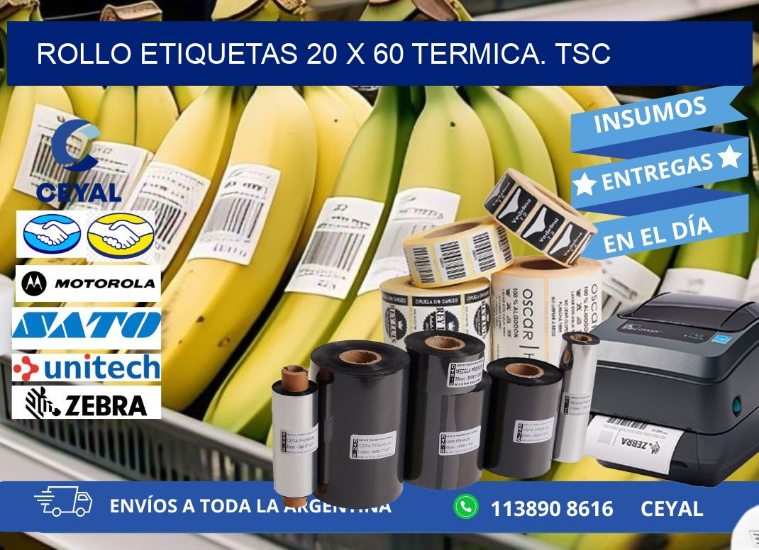 Rollo etiquetas 20 x 60 termica. tsc