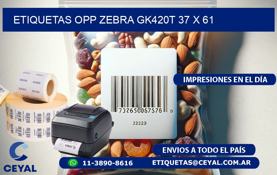 ETIQUETAS OPP ZEBRA GK420T 37 x 61