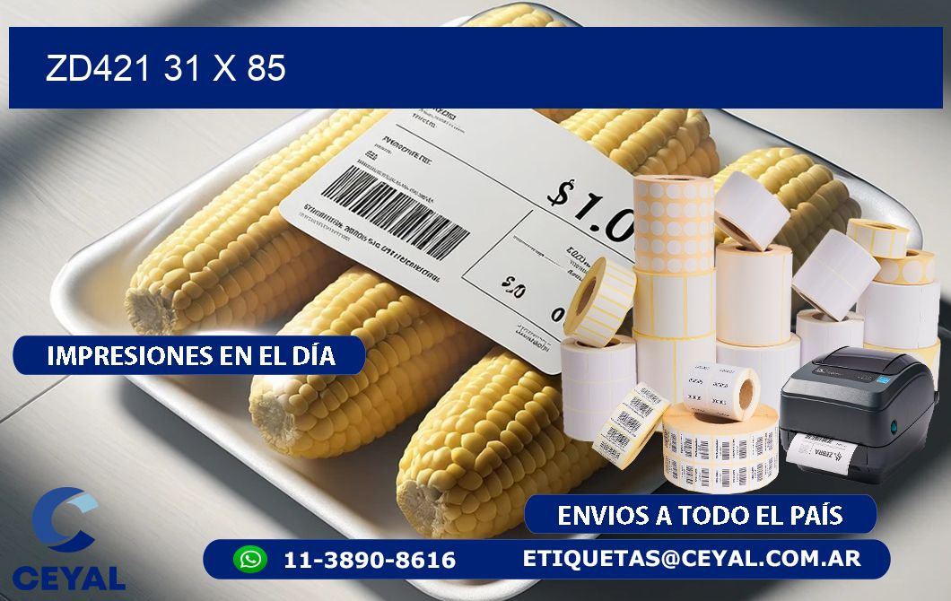 ZD421 31 x 85