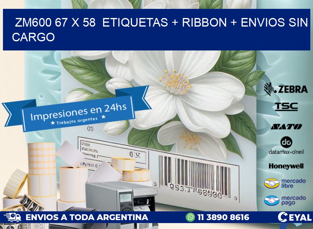 ZM600 67 x 58  etiquetas + ribbon + envios sin cargo