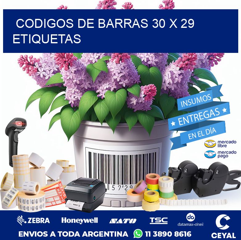 codigos de barras 30 x 29 etiquetas