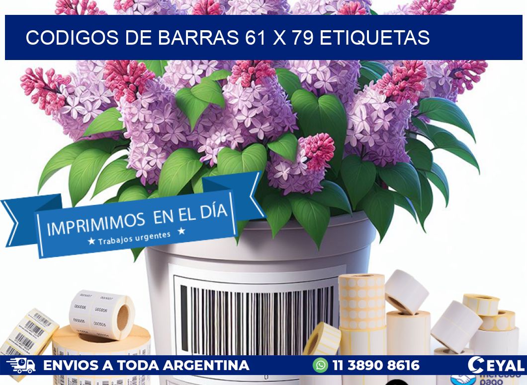 codigos de barras 61 x 79 etiquetas