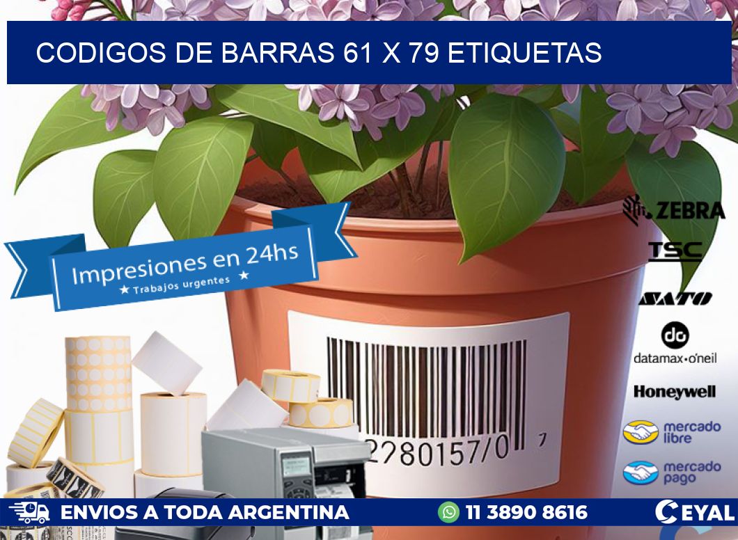 codigos de barras 61 x 79 etiquetas