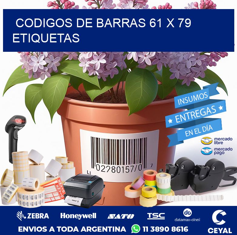 codigos de barras 61 x 79 etiquetas