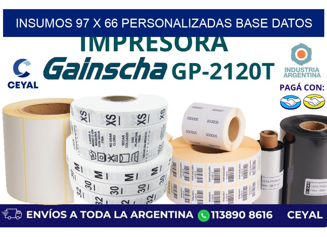 insumos 97 x 66 personalizadas base datos