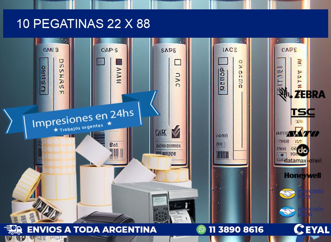 10 PEGATINAS 22 x 88