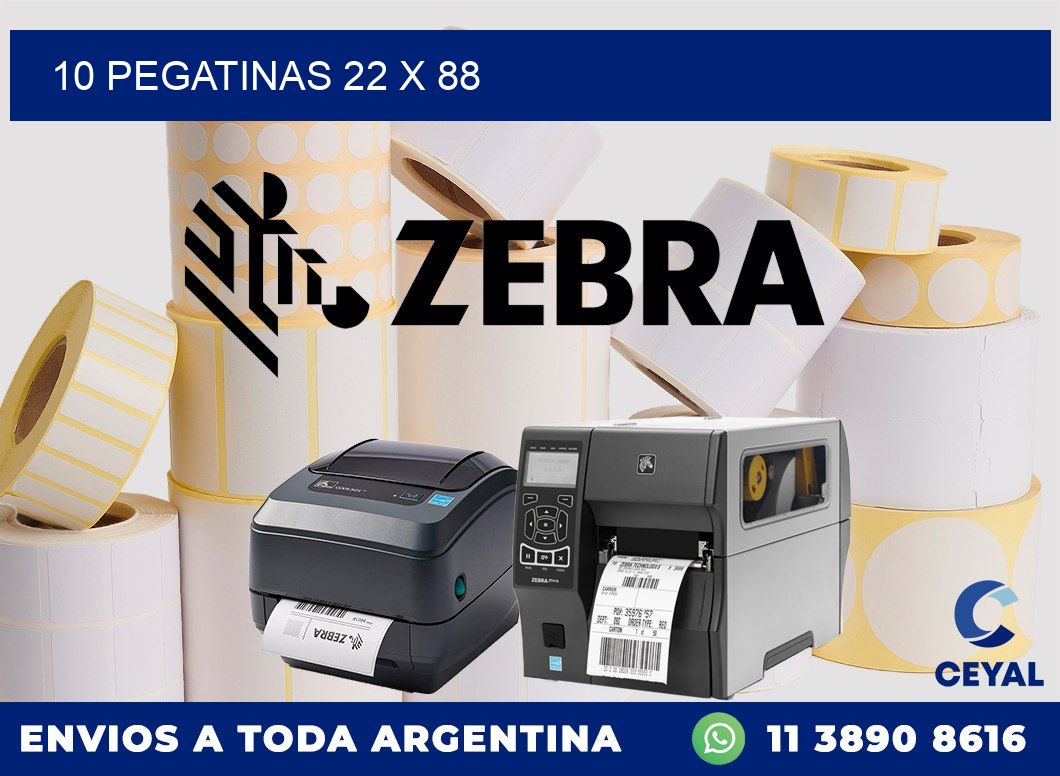10 PEGATINAS 22 x 88