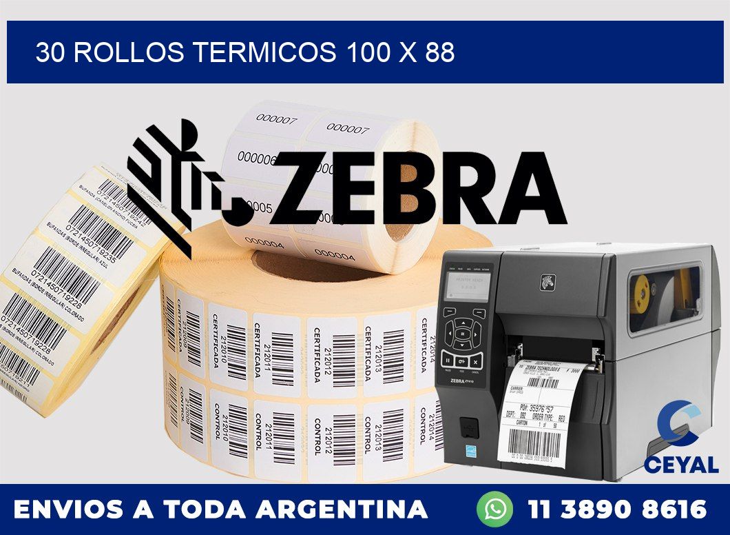 30 ROLLOS TERMICOS 100 x 88