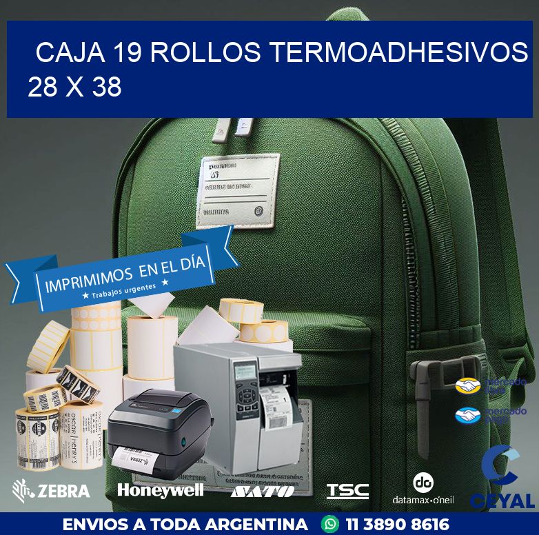 CAJA 19 ROLLOS TERMOADHESIVOS 28 x 38