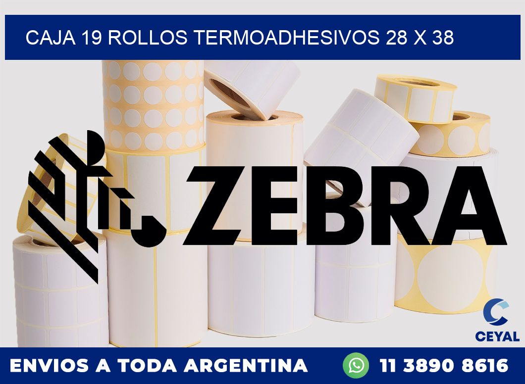 CAJA 19 ROLLOS TERMOADHESIVOS 28 x 38