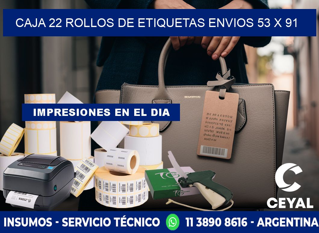 CAJA 22 ROLLOS DE ETIQUETAS ENVIOS 53 x 91