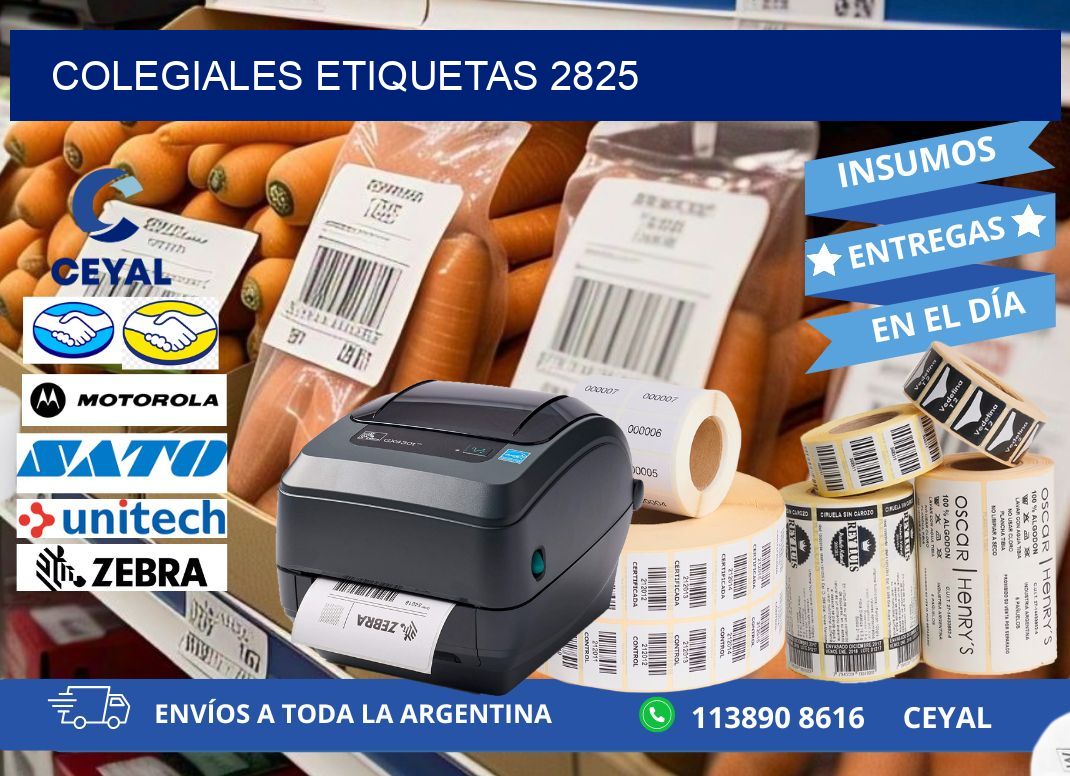 Colegiales etiquetas 2825