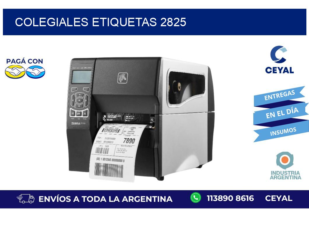 Colegiales etiquetas 2825