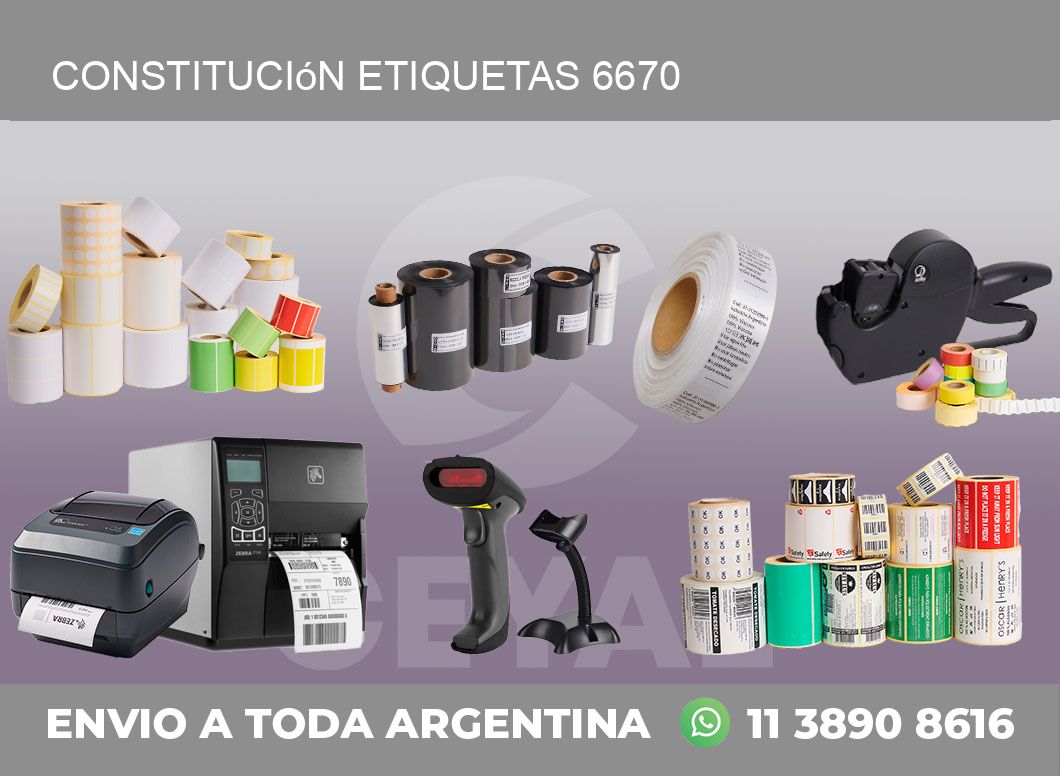 Constitución etiquetas 6670