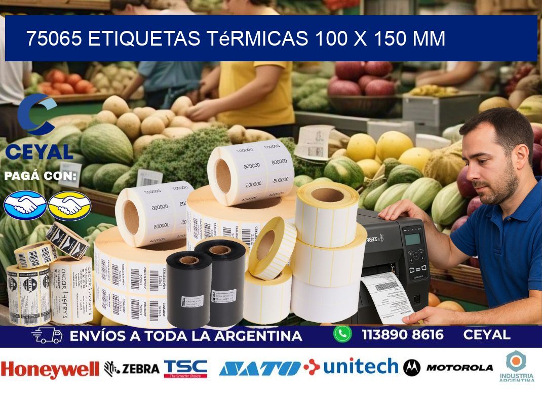 75065 Etiquetas Térmicas 100 X 150 Mm