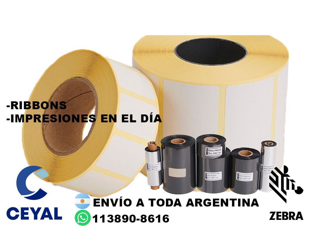 96630 Zebra ZD220  Bluetooth ZD220  305E00EZ