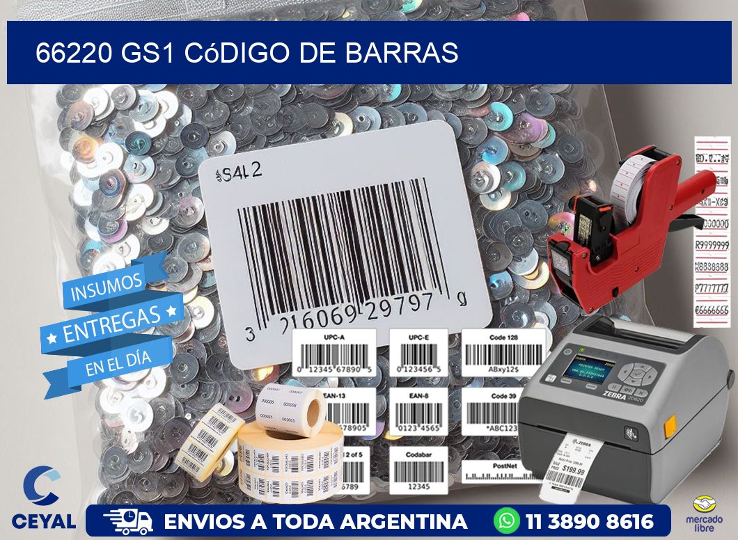 66220 GS1 código de barras