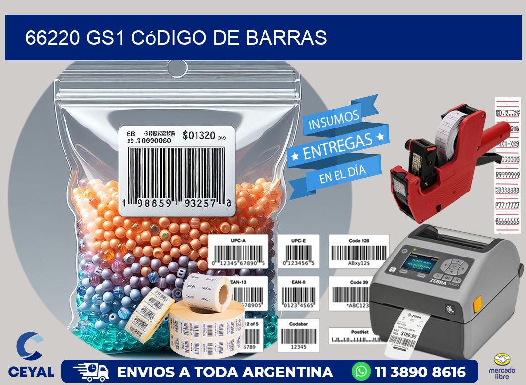 66220 GS1 código de barras