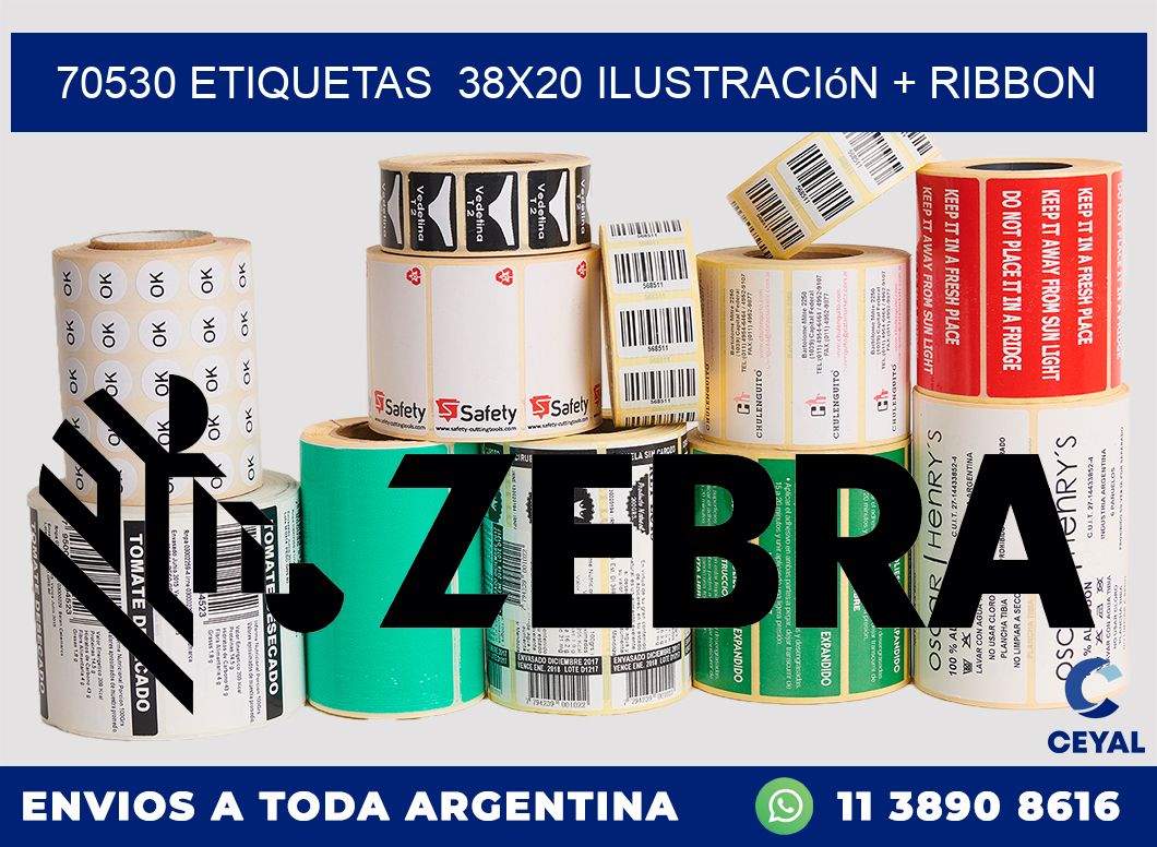 70530 etiquetas 38x20 ilustración + ribbon