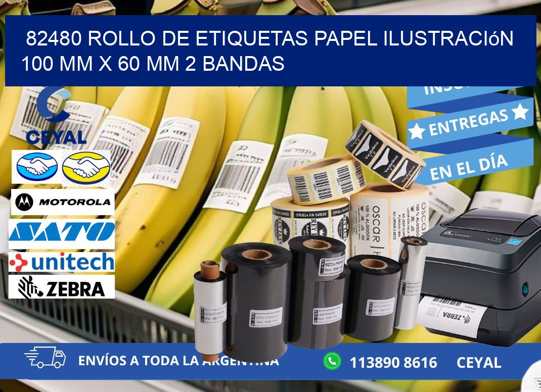 82480 Rollo de Etiquetas Papel Ilustración 100 mm x 60 mm 2 Bandas