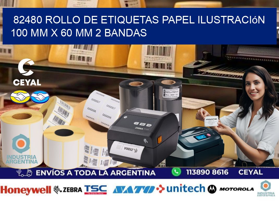 82480 Rollo de Etiquetas Papel Ilustración 100 mm x 60 mm 2 Bandas