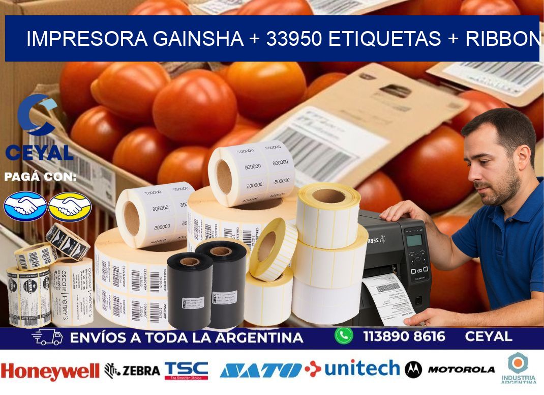 impresora gainsha + 33950 etiquetas + ribbon