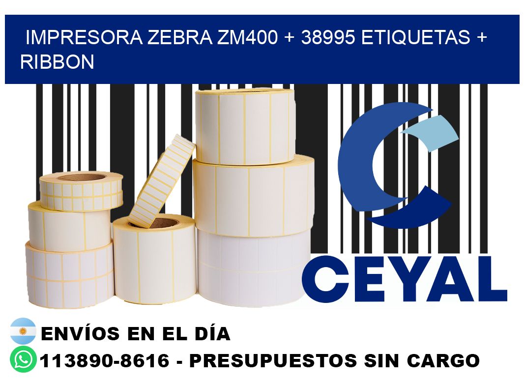 impresora zebra zm400 + 38995 etiquetas + ribbon