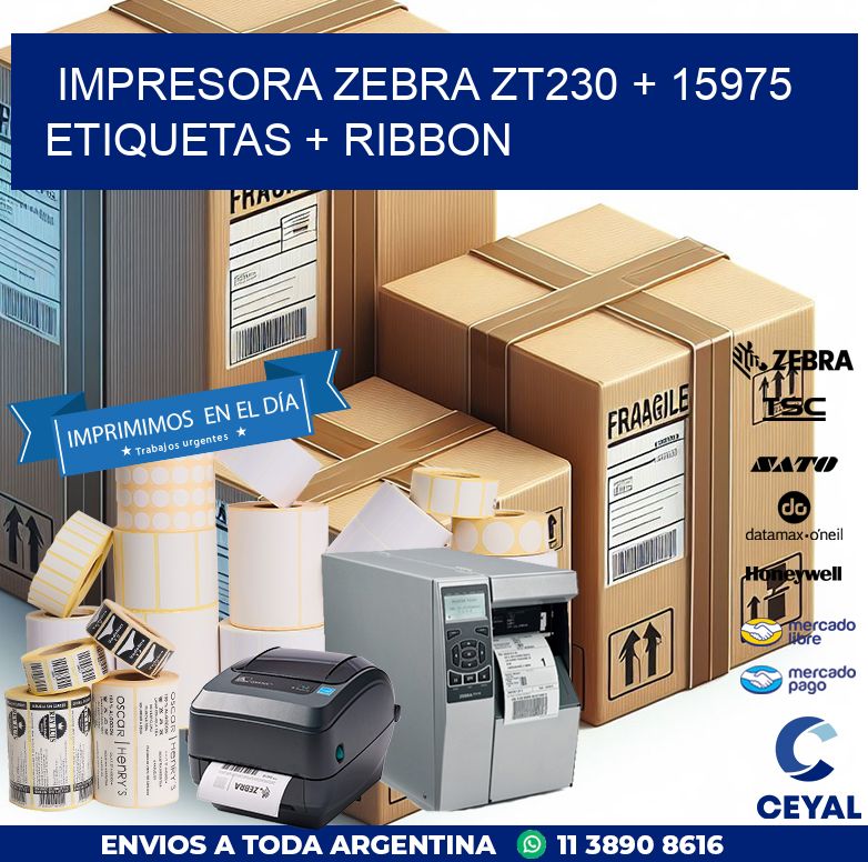 impresora zebra zt230 + 15975 etiquetas + ribbon
