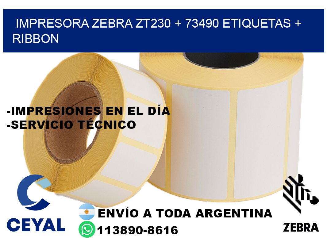 impresora zebra zt230 + 73490 etiquetas + ribbon