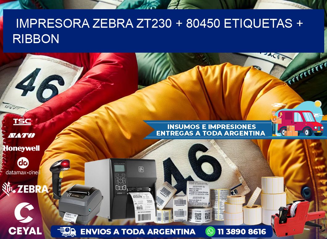 impresora zebra zt230 + 80450 etiquetas + ribbon
