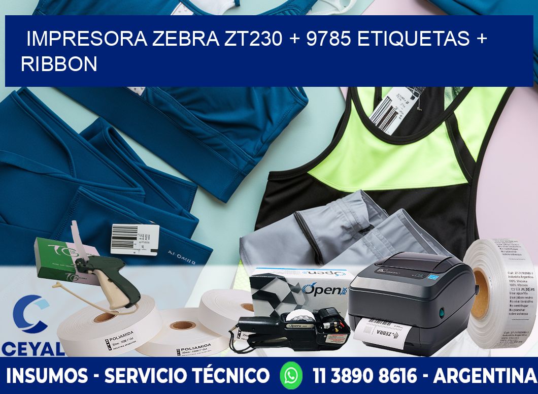 impresora zebra zt230 + 9785 etiquetas + ribbon