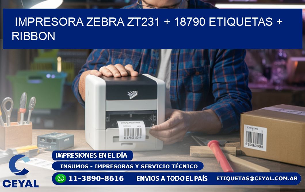 impresora zebra zt231 + 18790 etiquetas + ribbon