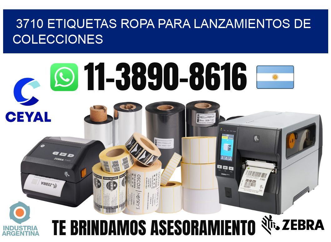 3710 Etiquetas ropa para lanzamientos de colecciones